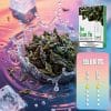 SP2S 思博瑞 一代煙彈🔥SP2連續5年銷量冠軍💖