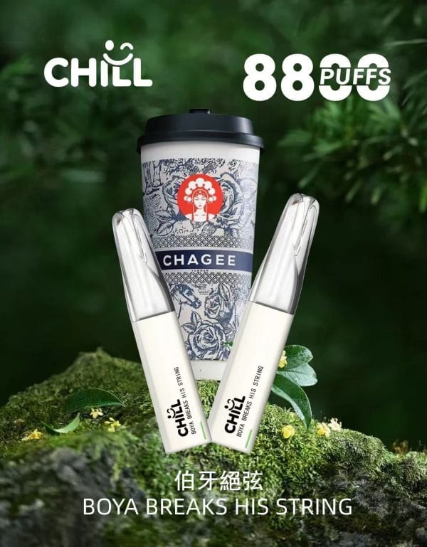 CHILL😉拋棄式8800口｜8ml大容量×長效口感×可充電｜全新上市🔥