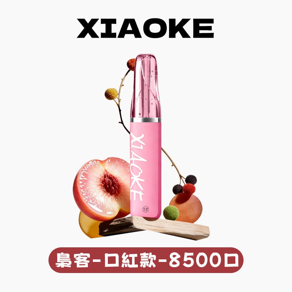 ILIA哩亞6500口拋棄式電子煙 可充電21款口味