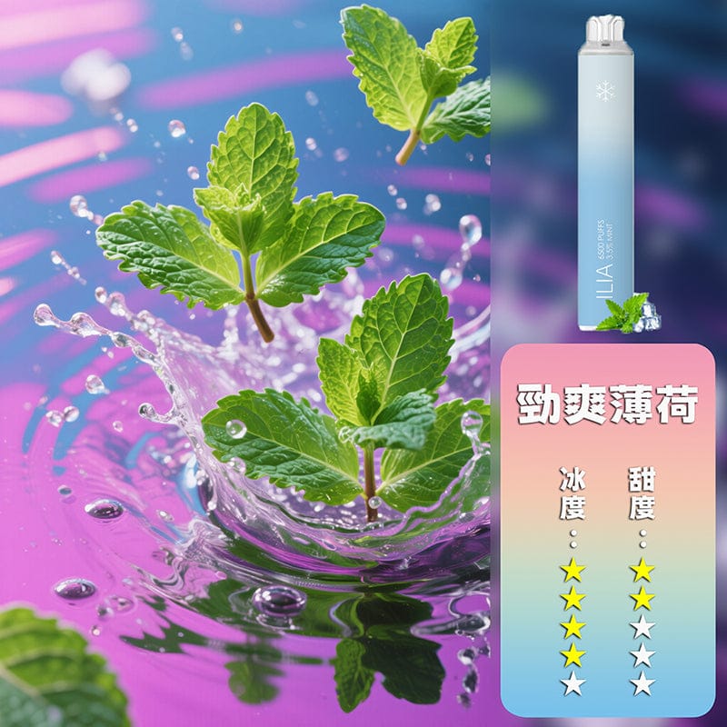 ILIA哩亞6500口拋棄式電子煙 可充電21款口味