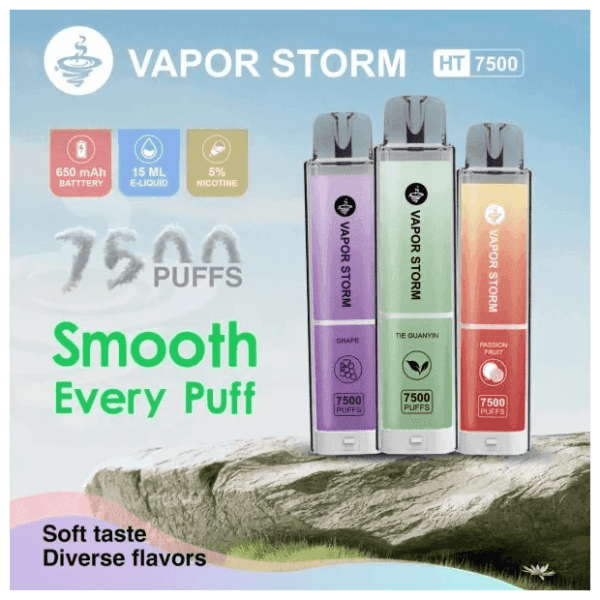 【VAPOR STORM 風暴辣妹 】7500口大容量拋棄式電子菸 可充電 15ml煙油 650mAh Type-C快充 多口味