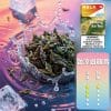 RELX 悅刻 六代煙彈(一盒3顆）【訂購5盒送主機】