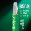XIAOKE 梟客 8500口一次性【顏值爆款：口紅系列】