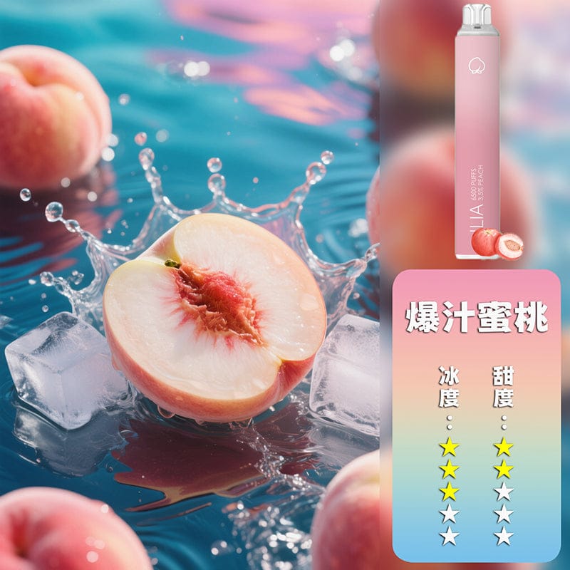 ILIA哩亞6500口拋棄式電子煙 可充電21款口味